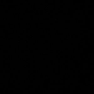 Meet your Posher, Sandy